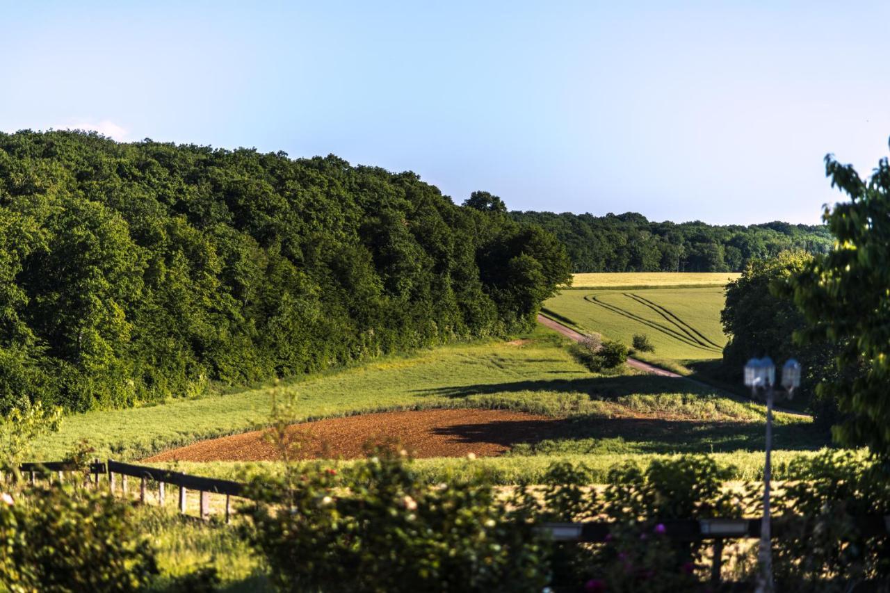 Готель Le Petit Domaine De Bois Avril Etais-la-Sauvin Екстер'єр фото